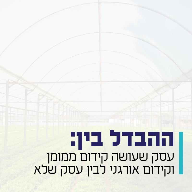 ההבדל בין עסק שעושה ממומן לבין לא